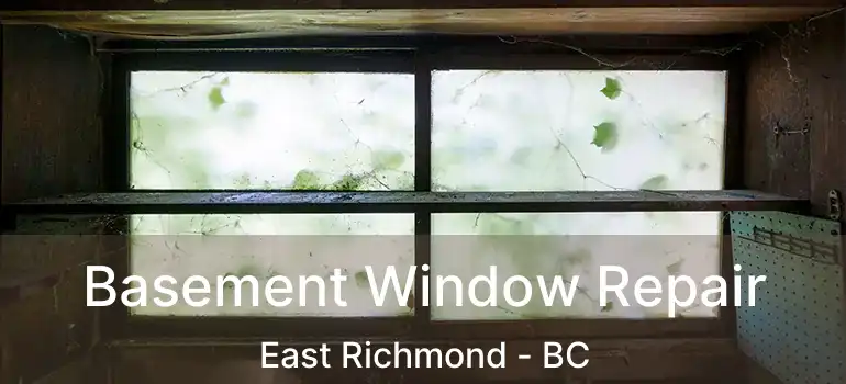  Basement Window Repair East Richmond - BC