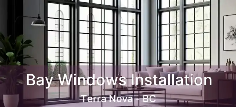  Bay Windows Installation Terra Nova - BC