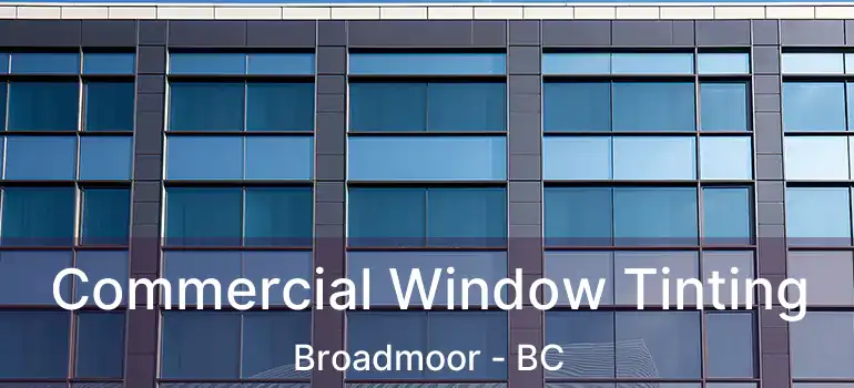  Commercial Window Tinting Broadmoor - BC