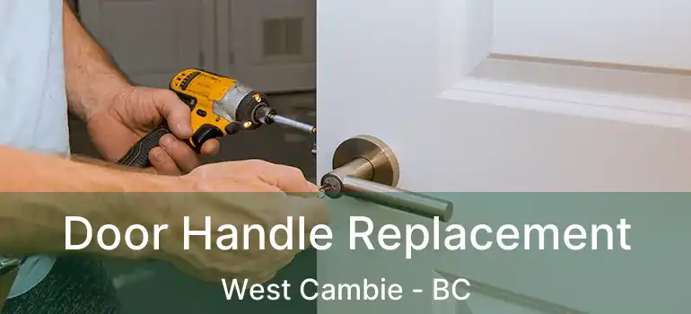  Door Handle Replacement West Cambie - BC