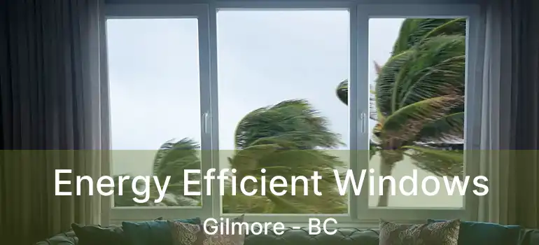  Energy Efficient Windows Gilmore - BC