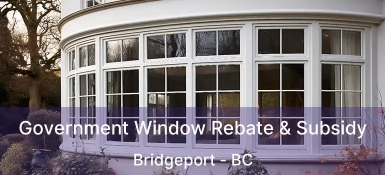  Government Window Rebate & Subsidy Bridgeport - BC
