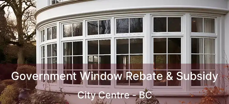  Government Window Rebate & Subsidy City Centre - BC
