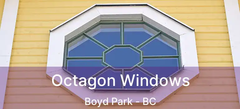  Octagon Windows Boyd Park - BC