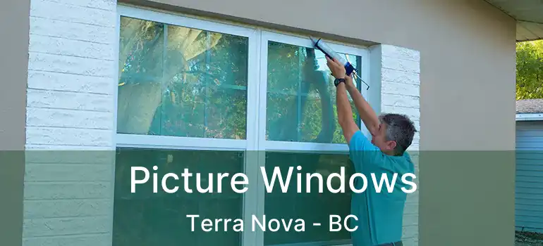  Picture Windows Terra Nova - BC