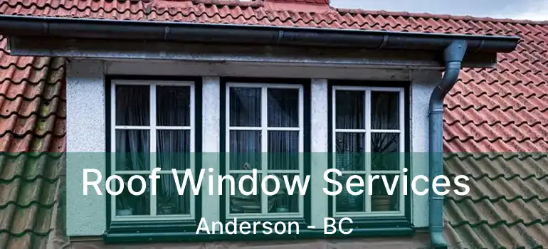  Roof Window Services Anderson - BC