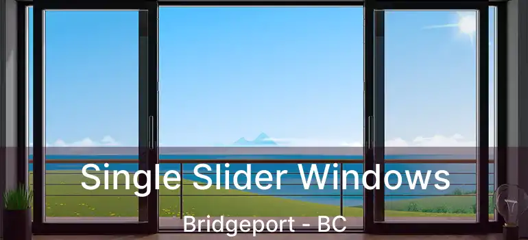  Single Slider Windows Bridgeport - BC