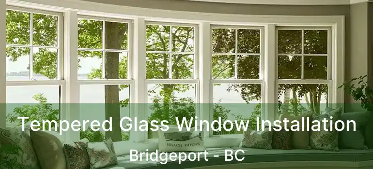  Tempered Glass Window Installation Bridgeport - BC