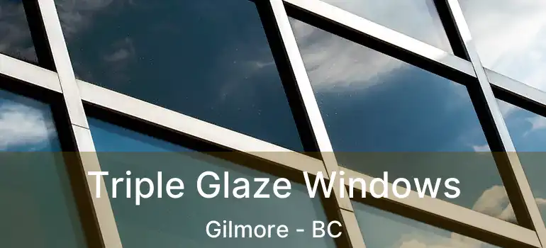  Triple Glaze Windows Gilmore - BC