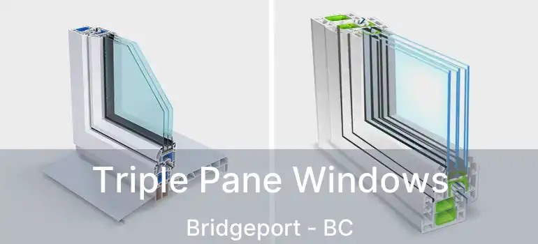  Triple Pane Windows Bridgeport - BC