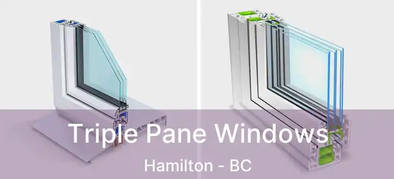  Triple Pane Windows Hamilton - BC