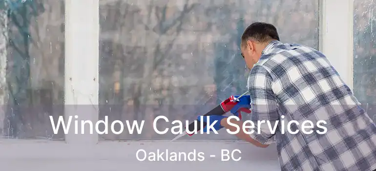  Window Caulk Services Oaklands - BC