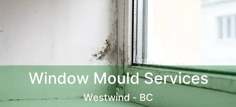  Window Mould Services Westwind - BC