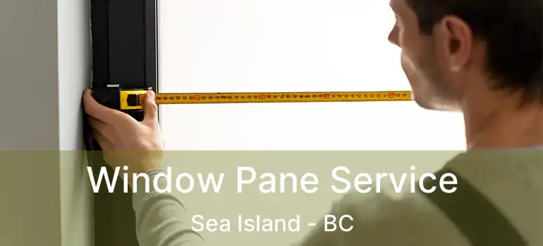  Window Pane Service Sea Island - BC