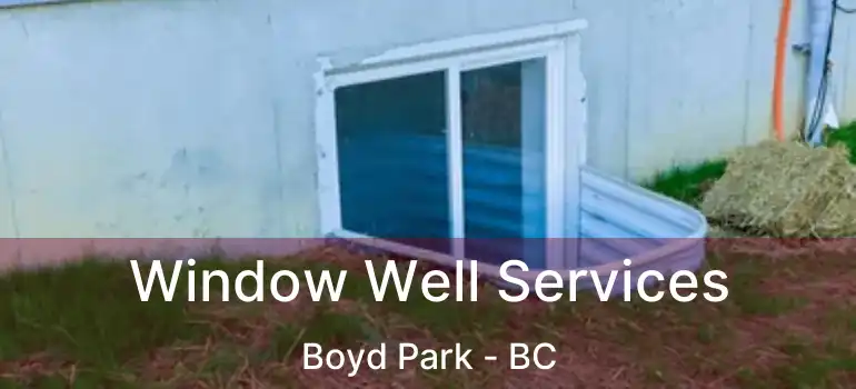  Window Well Services Boyd Park - BC